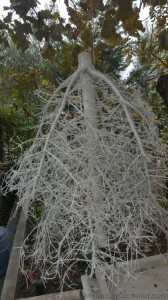 20161026 140741